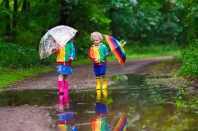 Дожди и похолодание: синоптики рассказали о погоде в Украине