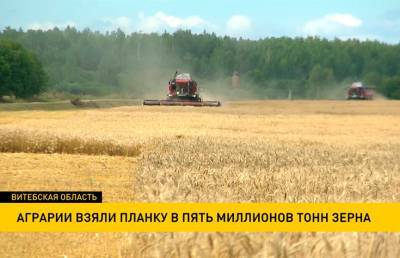 Уборочная-2021: аграрии убрали 5 млн тонн зерна