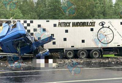 На трассе «Кола» под Волховом столкнулись грузовики, водители погибли