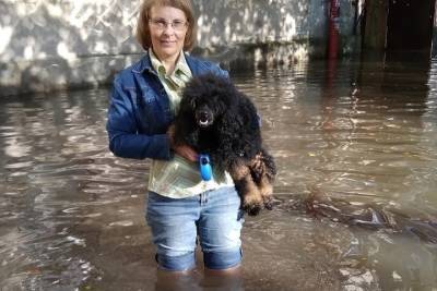 «Уровень воды выше колена!»: новгородка благодарит мэрию за потоп во дворе