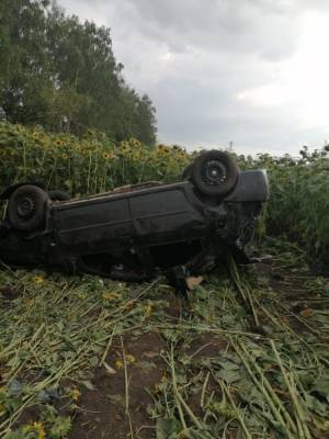 Смерть в подсолнухах. Renault перевернулся на трассе в Липецкой области