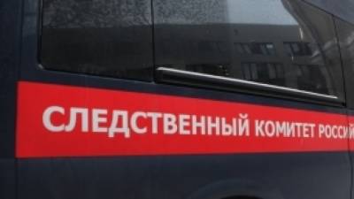 Мать похитила собственного сына в Петербурге