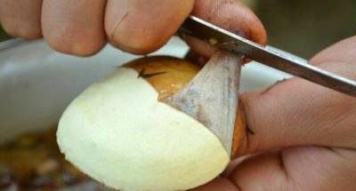 Нужно ли перед приготовлением снимать с маслят кожицу: как делают грибники профи