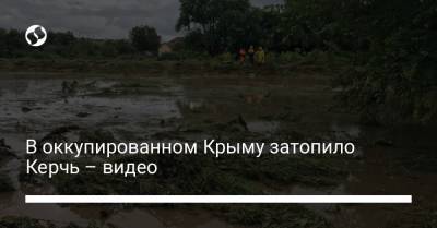 В оккупированном Крыму затопило Керчь – видео