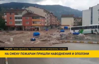 Наводнения и оползни обрушились на Турцию: 11 человек погибли