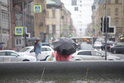Погоду в Петербурге испортят ветер и дожди, пришедшие с Архангельска