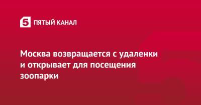 Москва возвращается с удаленки и открывает для посещения зоопарки