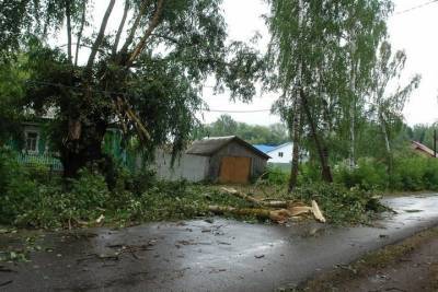 Ураган оставил несколько сёл Ермишинского района без света