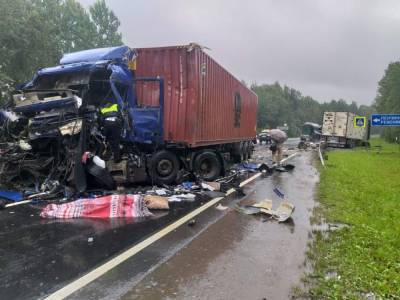 В Ленобласти произошло смертельное ДТП с участием двух грузовиков