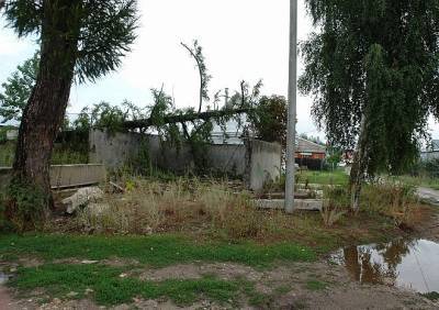 В Ермишинском районе ураган поломал деревья и оставил дома без электричества