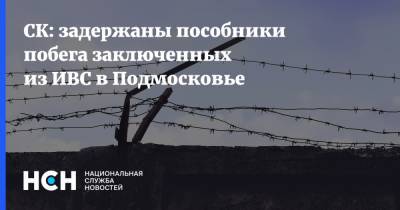 СК: задержаны пособники побега заключенных из ИВС в Подмосковье