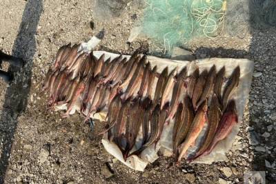 Инспекторы рыбоохраны в Татарстане поймали браконьеров с рыбой на 375 тысяч