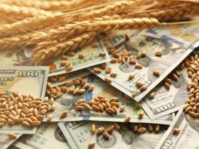 Россия снижает экспортные пошлины на пшеницу и ячмень
