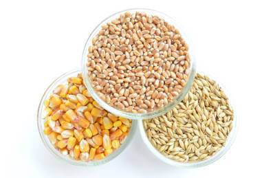 Украина отправила на экспорт 4,6 млн зерна