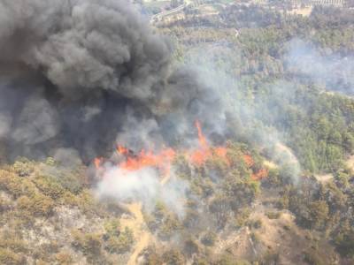 В Турции заявили, что взяли под контроль все лесные пожары в стране