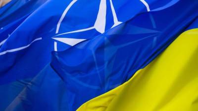 Зеленский утвердил стратегию по интеграции Украины в НАТО