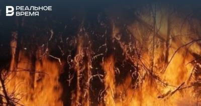 В Татарстане продлили штормовое предупреждение о высокой пожароопасности лесов