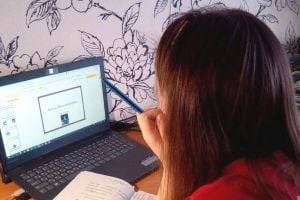 Школы и ВУЗы могут перейти в онлайн