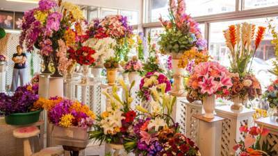 Общественная палата просит заморозить цены на цветы перед 1 сентября