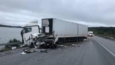 В ДТП с грузовиком в Искитимском районе Новосибирской области погиб человек