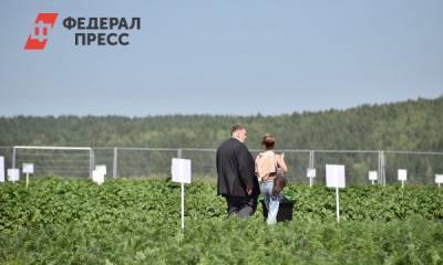 Всероссийский день поля-2021 в Свердловской области