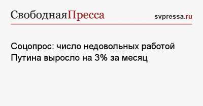 Соцопрос: число недовольных работой Путина выросло на 3% за месяц