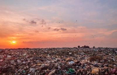 Директора МУП в Тверской области будут судить за доход от незаконного размещения отходов