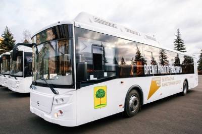 Безопасность пассажиров автобусов на особом контроле в Липецкой области