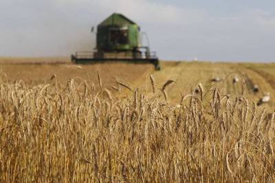 НТБ: зерно из интервенционного фонда 13 августа не продавалось, следующие торги состоятся 16 августа