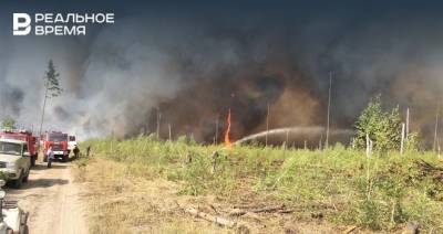 Пожар в Мордовском государственном заповеднике является вероятной причиной дымки в Казани