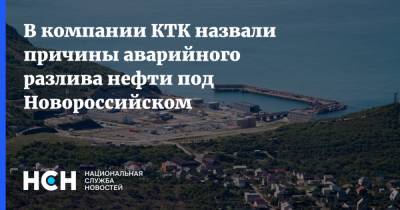 В компании КТК назвали причины аварийного разлива нефти под Новороссийском