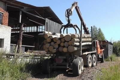 В Ивановской области задержали банду браконьеров