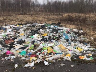 56 кубов мусора. В Смоленской области ликвидировали стихийную свалку