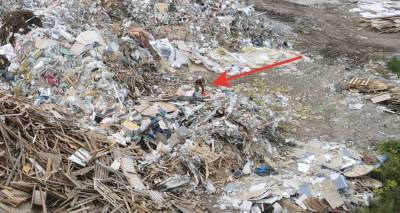 В Заневском поселении ищут организаторов крупной мусорной свалки на 3 гектара