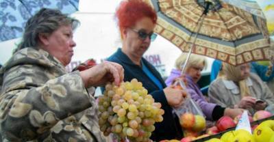 На северо-востоке Москвы открылась круглогодичная ярмарка в стиле "Крым"