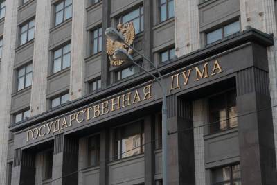 В Госдуме прокомментировали законопроект об изъятии загранпаспорта у должников