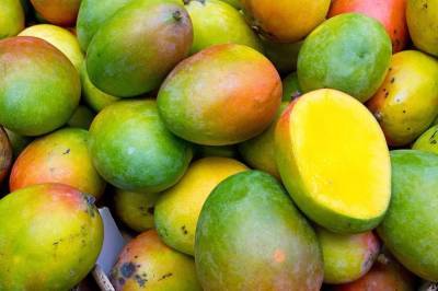 Пакистан планирует экспортировать в Азербайджан манго (ФОТО)