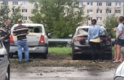 Деревья разбили две машины в Павлове - vgoroden.ru - Нижний Новгород - Мулино