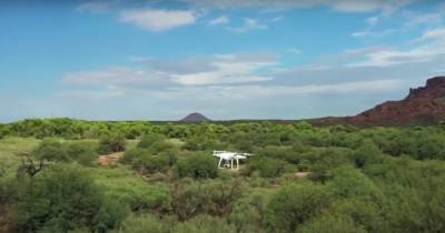 В штате Аризона поумневшие дроны открыли охоту на "вредоносные" деревья (видео)