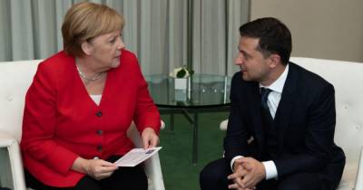 Немецкий политолог смоделировал разговор Зеленского с Меркель