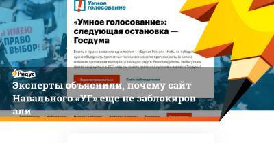 Эксперты объяснили, почему сайт Навального «УГ» еще незаблокировали