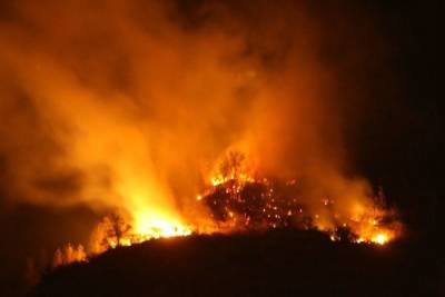 Лесные пожары в Якутии охватили более 7 миллионов гектаров