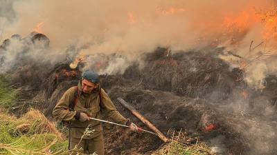В Рослесхозе назвали площадь лесных пожаров в Якутии