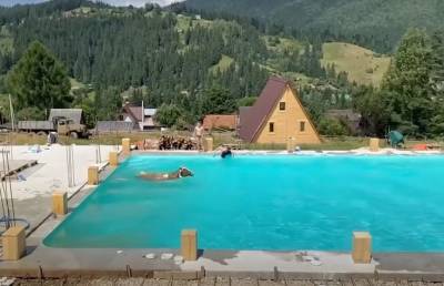 Корова устала от жары, решила искупаться в бассейне вместе с отдыхающими и попала на видео
