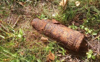 В Гатчинском районе дачница вместо грибов нашла снаряд времен ВОВ