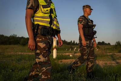 Литовским военным дали дополнительные права для борьбы с нелегальной миграцией