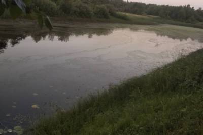 Минприроды лично проверит, загрязнены ли реки Можановка, Холова и Пятницкая