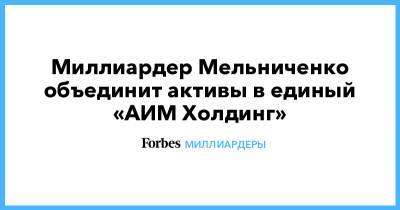 Миллиардер Мельниченко объединит активы в единый «АИМ Холдинг»