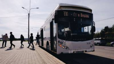Петербург планирует закупить 2,7 тысячи новых автобусов к весне 2022 года