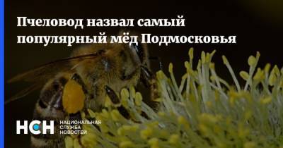 Пчеловод назвал самый популярный мёд Подмосковья